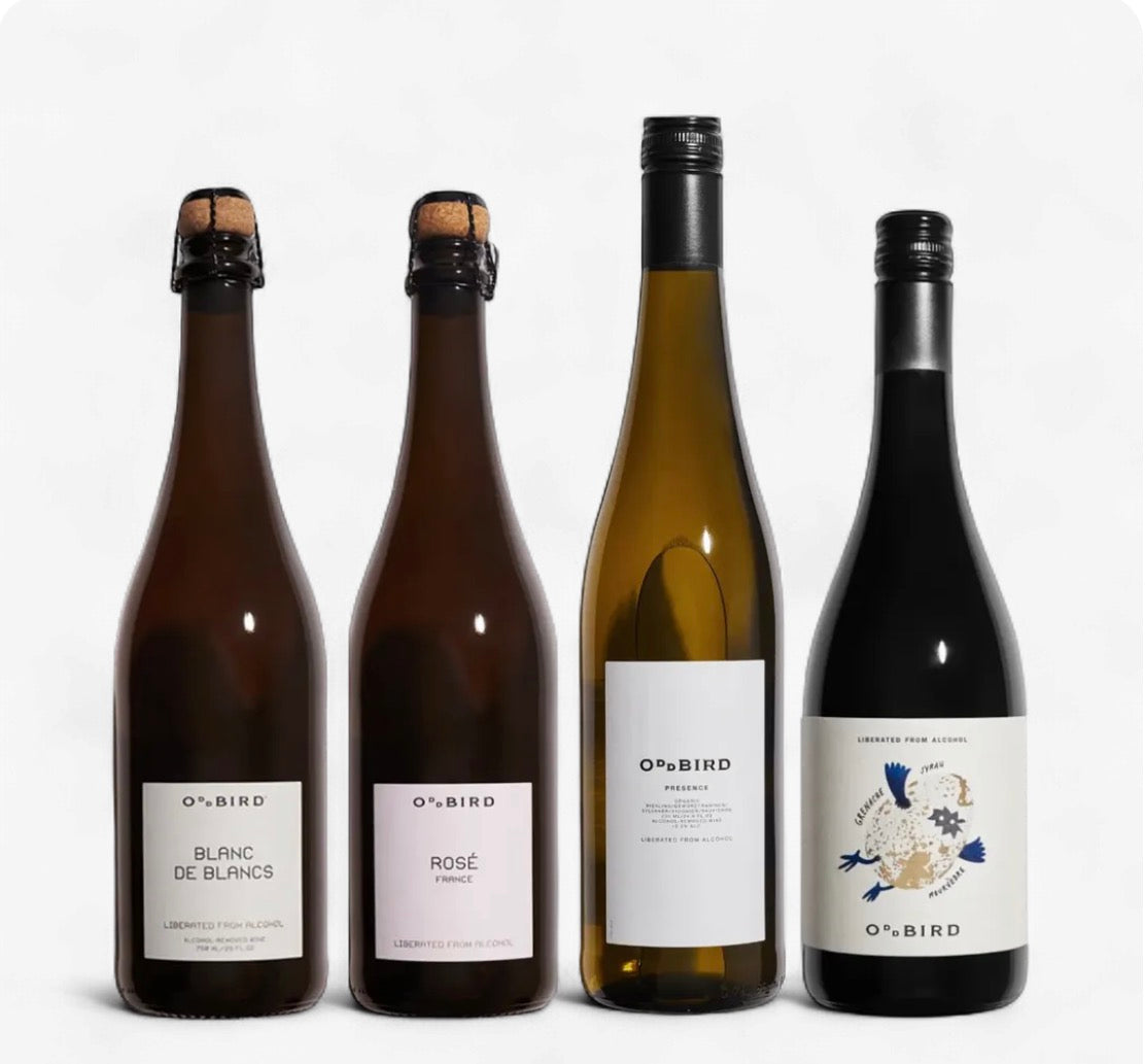 ODDBIRD- Coming Soon